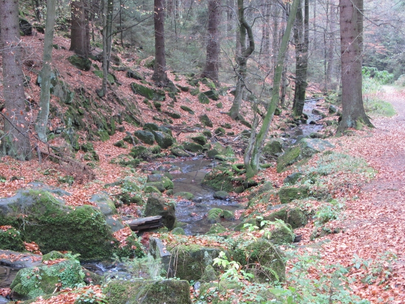 Runde Tische NRW - Abschluss in Köln und Arnsberg 